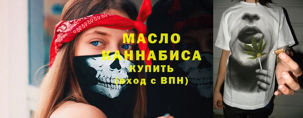 гашик Пыталово