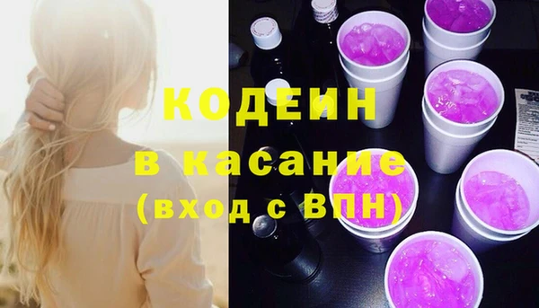 ECSTASY Тайга